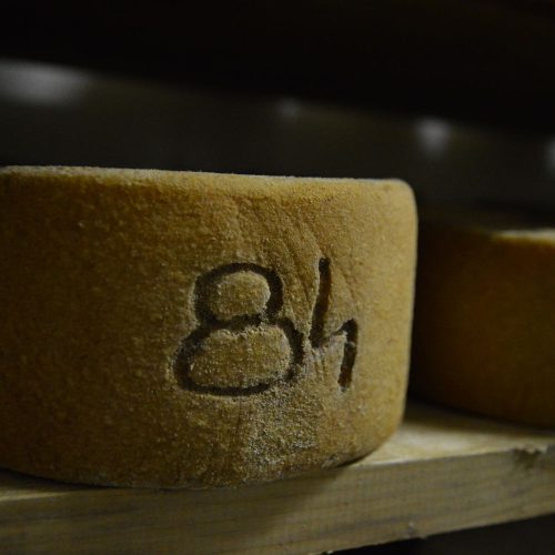 Brebis_-_Albisetti_tomme_2_cfb057459e