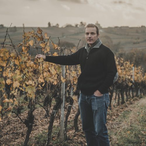 THOMAS FONTEYREAUD VIGNE