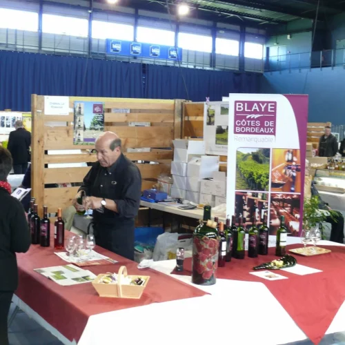 chateau-la-roseraie-degustation-vin-cotes-de-blaye-bordeaux-3-scaled